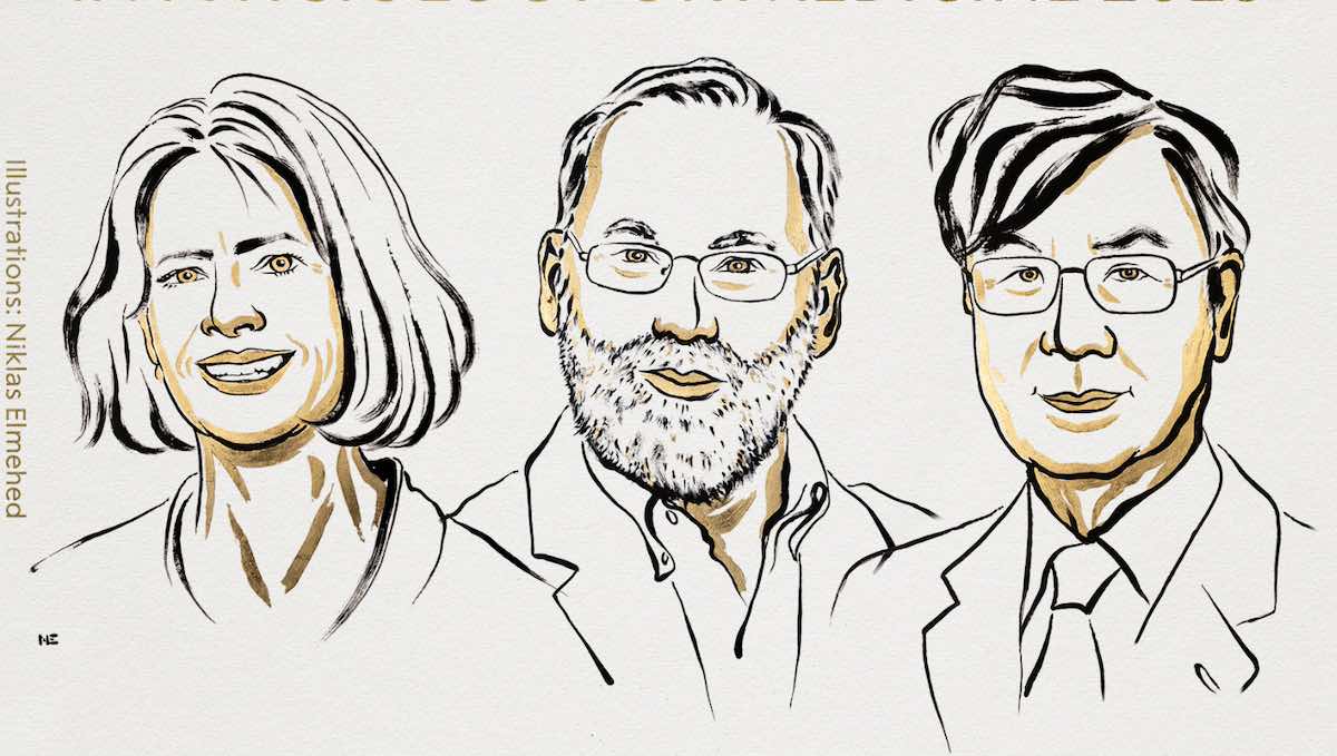 nobel medicina cellule malattie autoimmuni