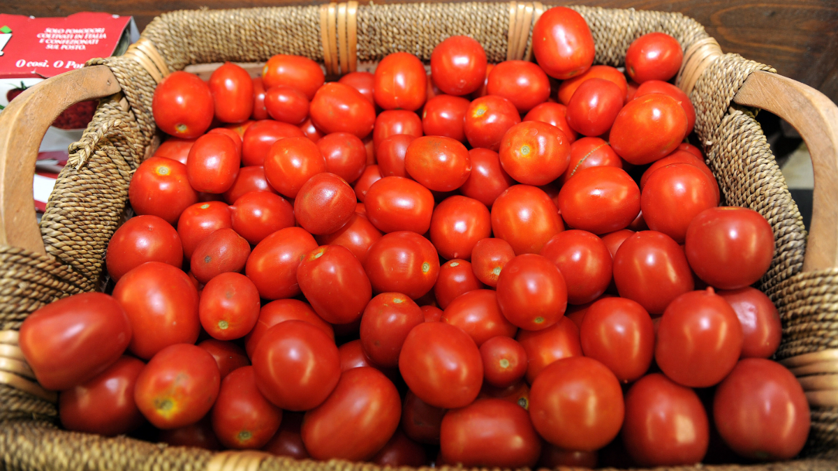 https://static.open.online/wp-content/uploads/2025/10/salmonella-pomodori-siciliani.jpg