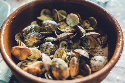 vongole-adriatico-voto-ue