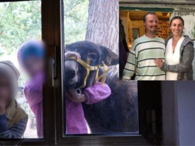 bambini nel bosco famiglia nel bosco chieti piano avvocato