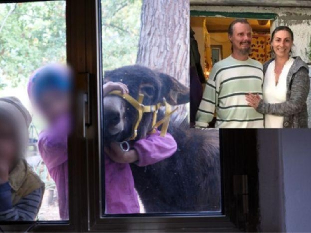 bambini nel bosco famiglia nel bosco chieti piano avvocato