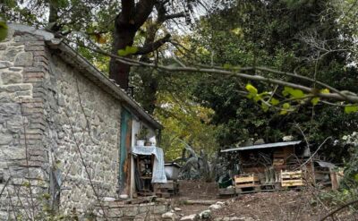 casa-bosco-bambini-legale