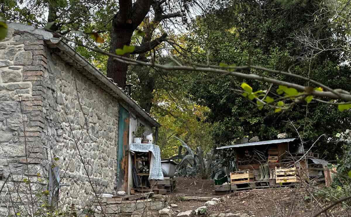 casa-bosco-bambini-legale