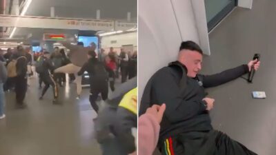 cicalone aggressione pestaggio video