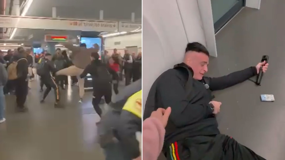 cicalone aggressione pestaggio video