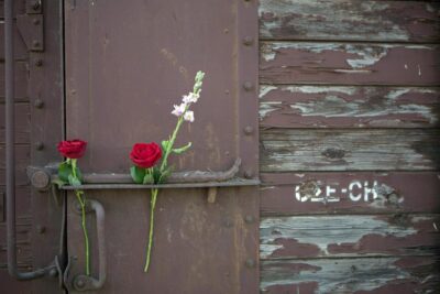 deportazione elisa perini