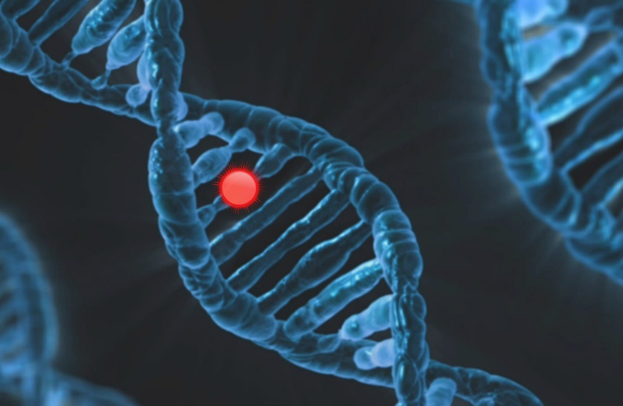 editing-genetico-pre-nascita-silicon-valley