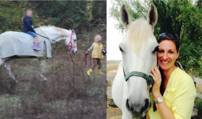 lee cavallo famiglia nel bosco