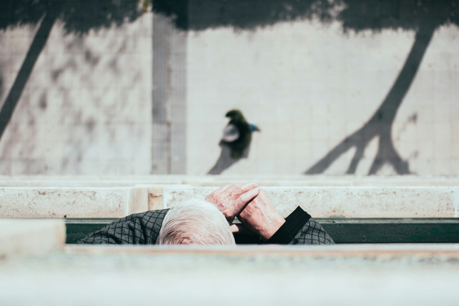 anziani incubi morte precoce