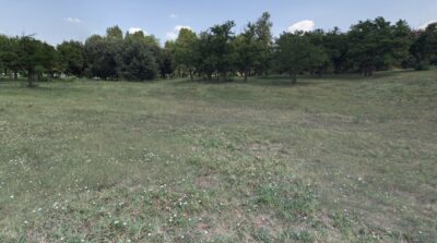 tor tre teste violenza sessuale