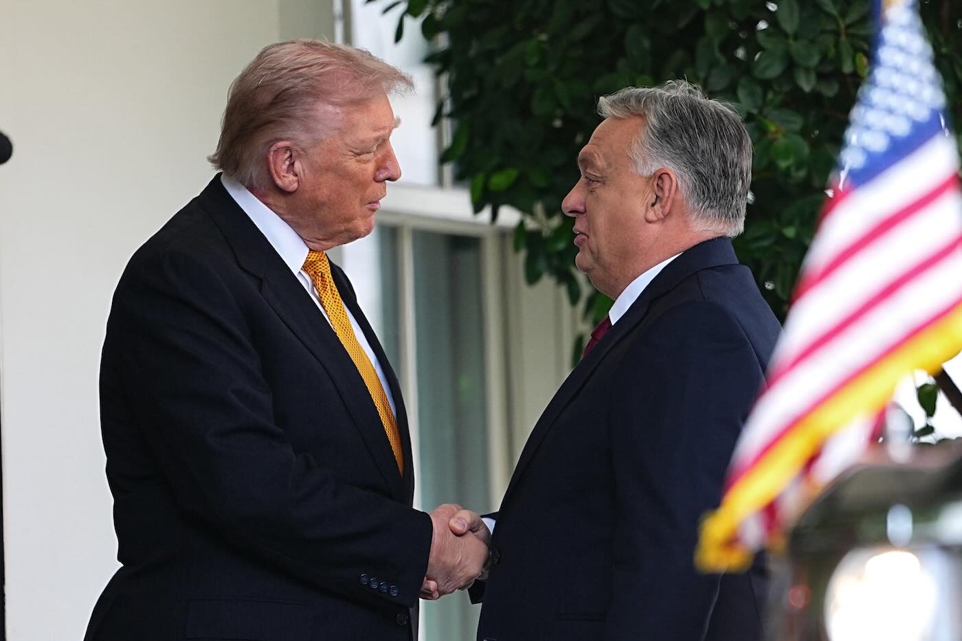 trump-orban-casa-bianca