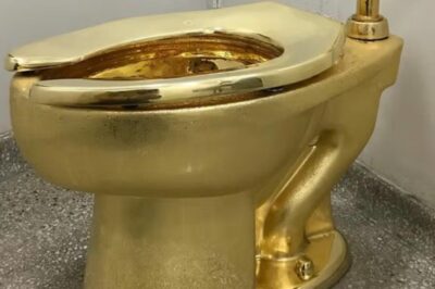 water wc d'oro cattelan