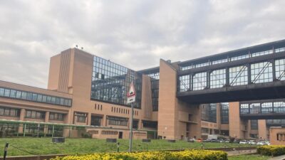 lido frediani chimico eredità badante