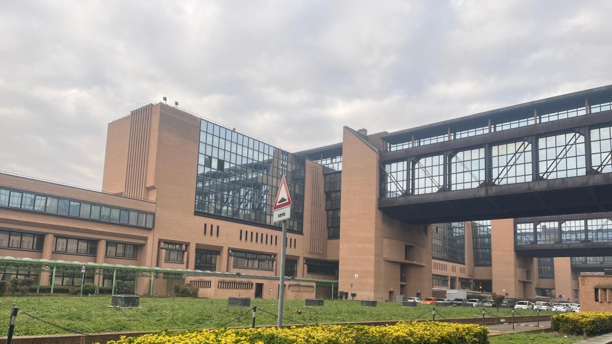 lido frediani chimico eredità badante