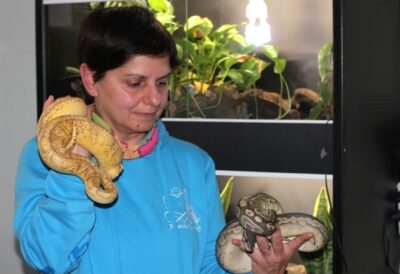 marula furlan serpenti oderzo