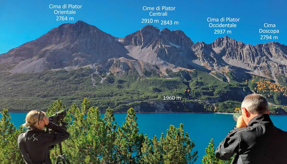 dinosauri valle dello stelvio