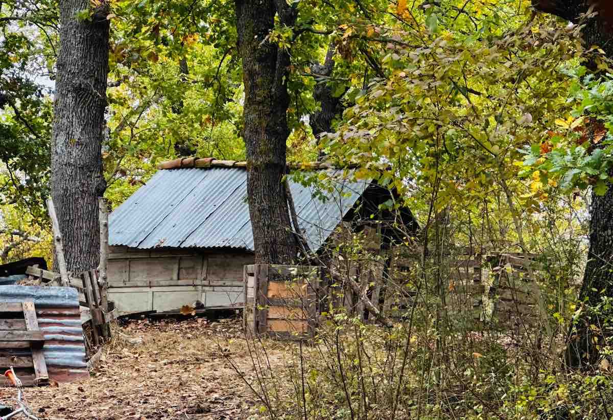palmoli casa bosco ristrutturazione trevallion figli