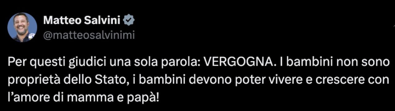 La reazione di Matteo Salvini alla decisione della Corte d'Appell di L'Aquila sulla famiglia nel bosco