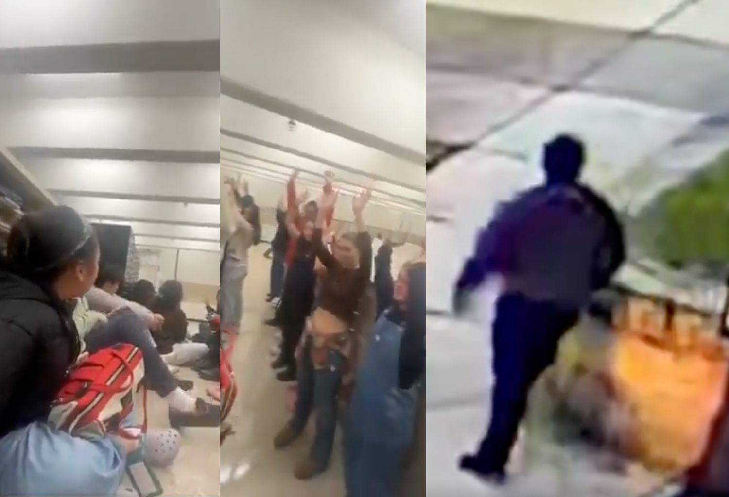 Sparatoria Brown University