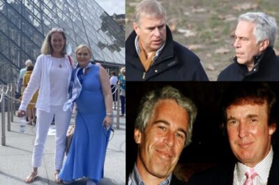 virginia giuffre amy wallace jeffrey epstein principe andrea