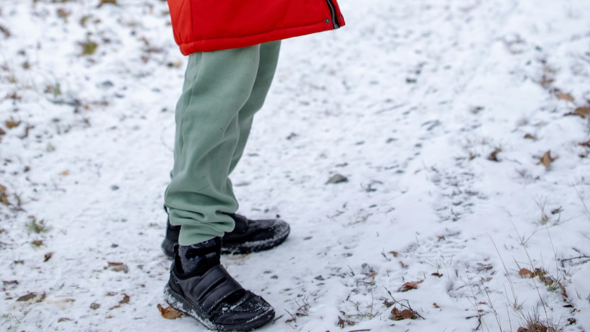 bambino-bus-milano-cortina