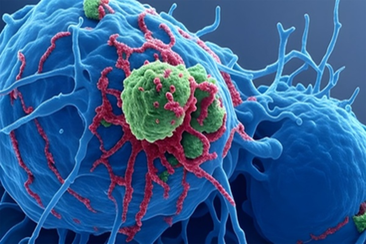 conservanti alimentari solfiti sorbati rischio cancro diabete