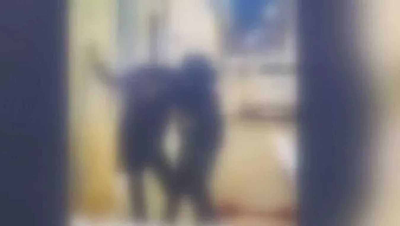 16enne pesta disabile