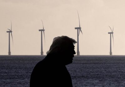 trump-europa-energia-eolica