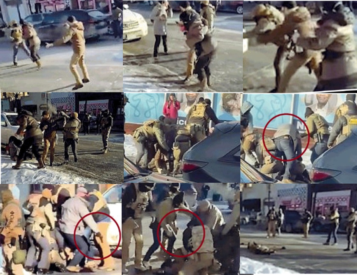 video alex pretti omicidio agenti ice