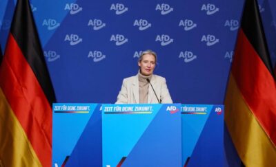 afd-estremista-sentenza-tribunale-germania