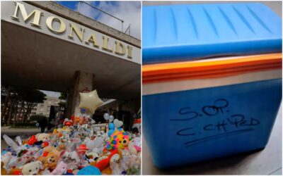 domenico cuore espianto contenitore