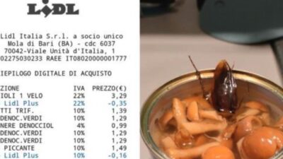 Blatta nei funghi a Lidl
