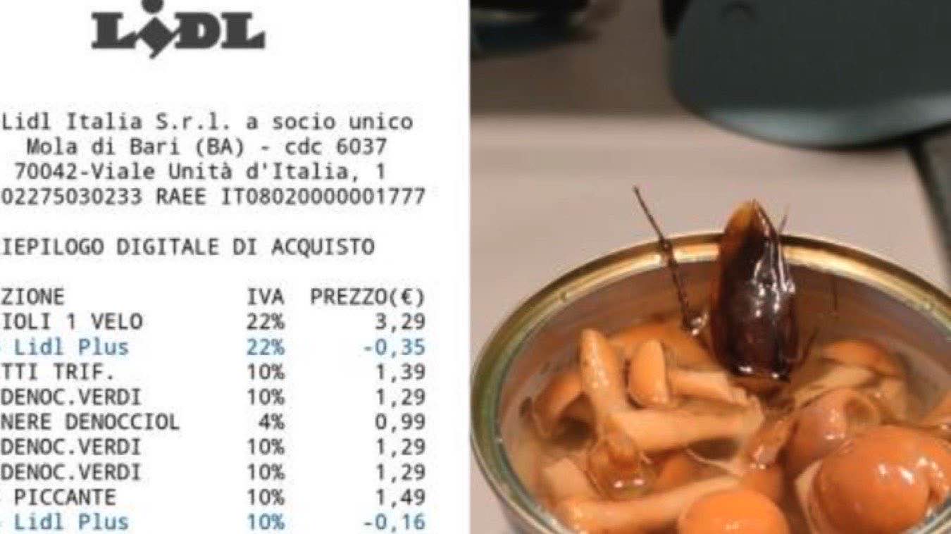 Blatta nei funghi a Lidl