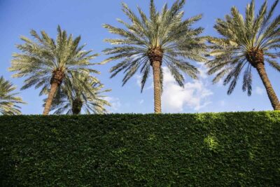 mar-a-lago-uomo-armato-residenza-trump-ucciso