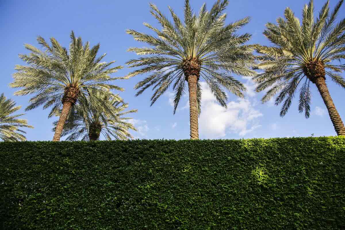 mar-a-lago-uomo-armato-residenza-trump-ucciso