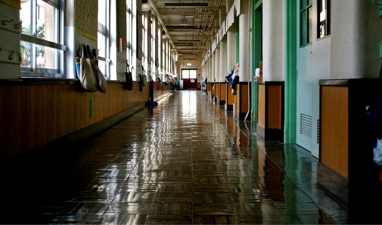 scuola proposta shock fdi schedare