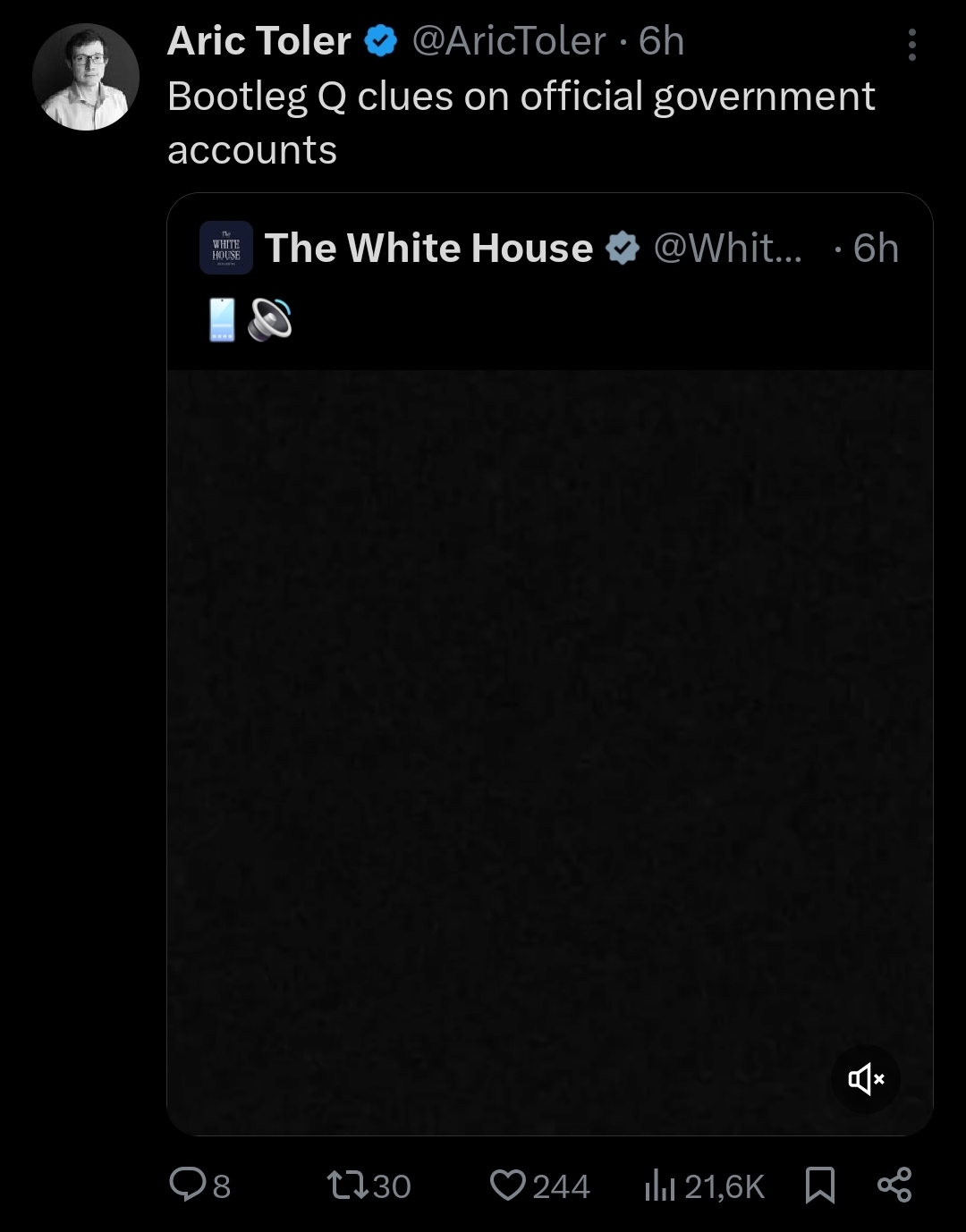 Screenshot post X di Aric Toler: "Bootleg Q clues on official government accounts"