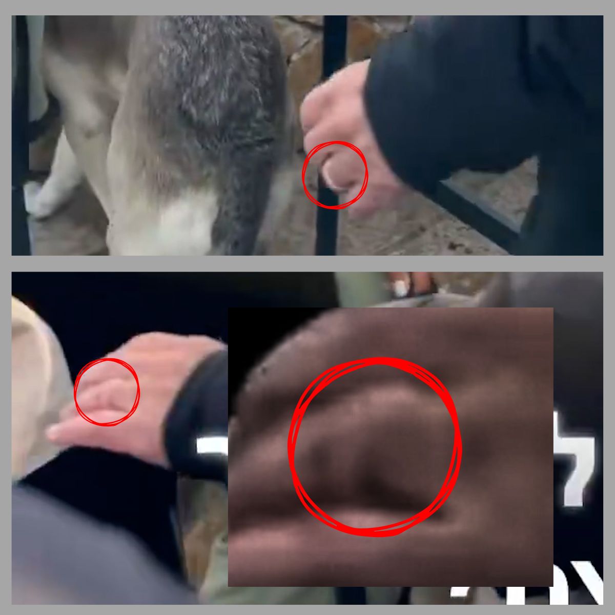 Dettaglio mano Netanyahu anello anulare sinistro video AI