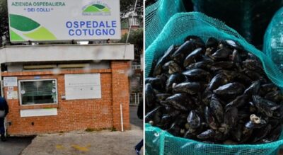 epatite a napoli ordinanza