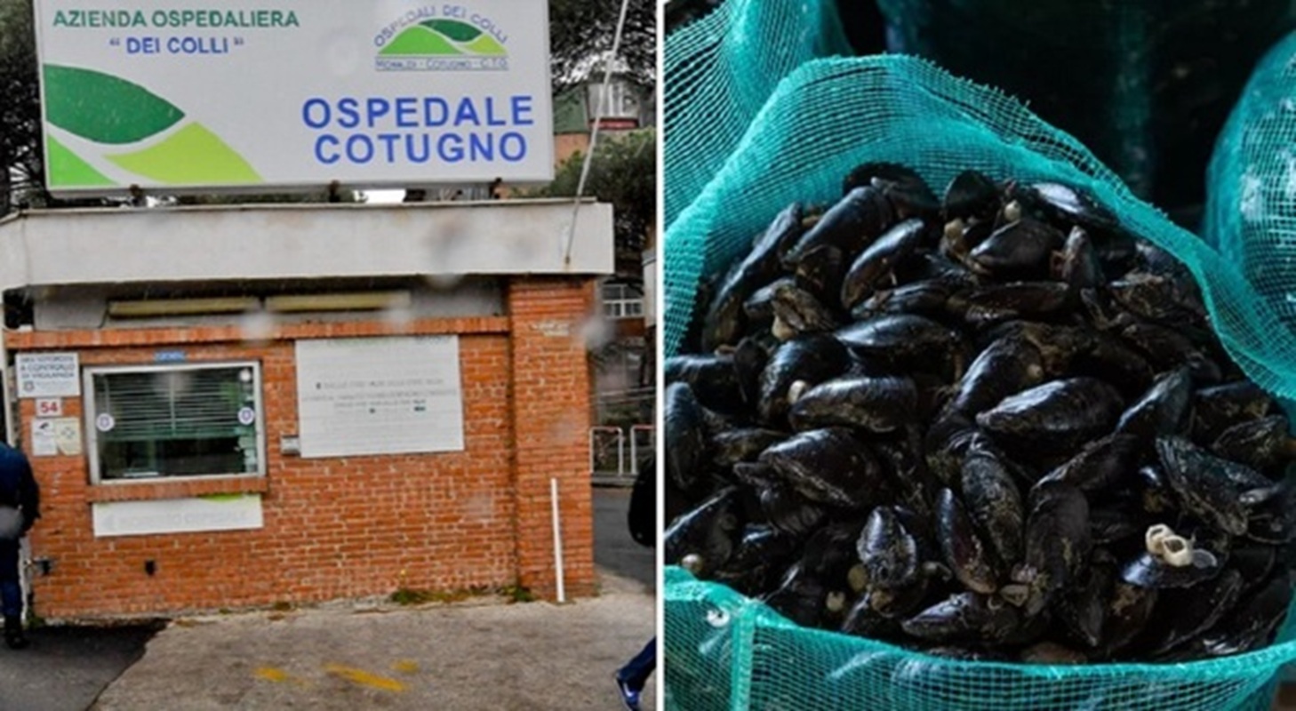 epatite a napoli ordinanza