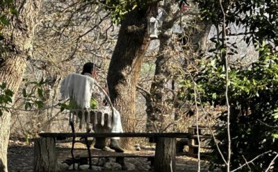 famiglia-nel-bosco-mercoledì-senato