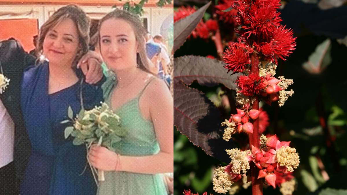 Madre e figlia avvelenate dalla ricina