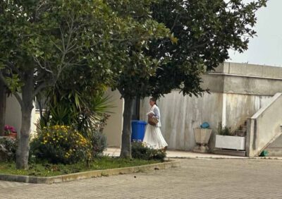 Mamma della famiglia del bosco