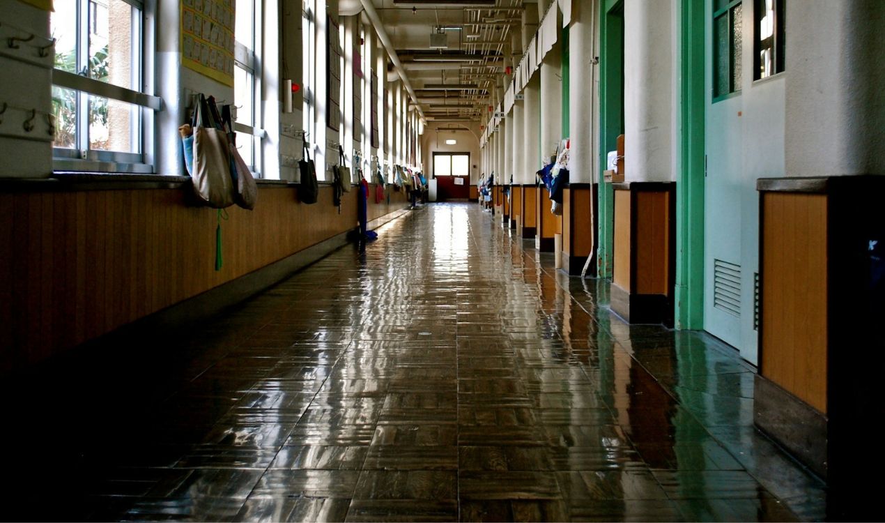 scuola lista foibe fdi