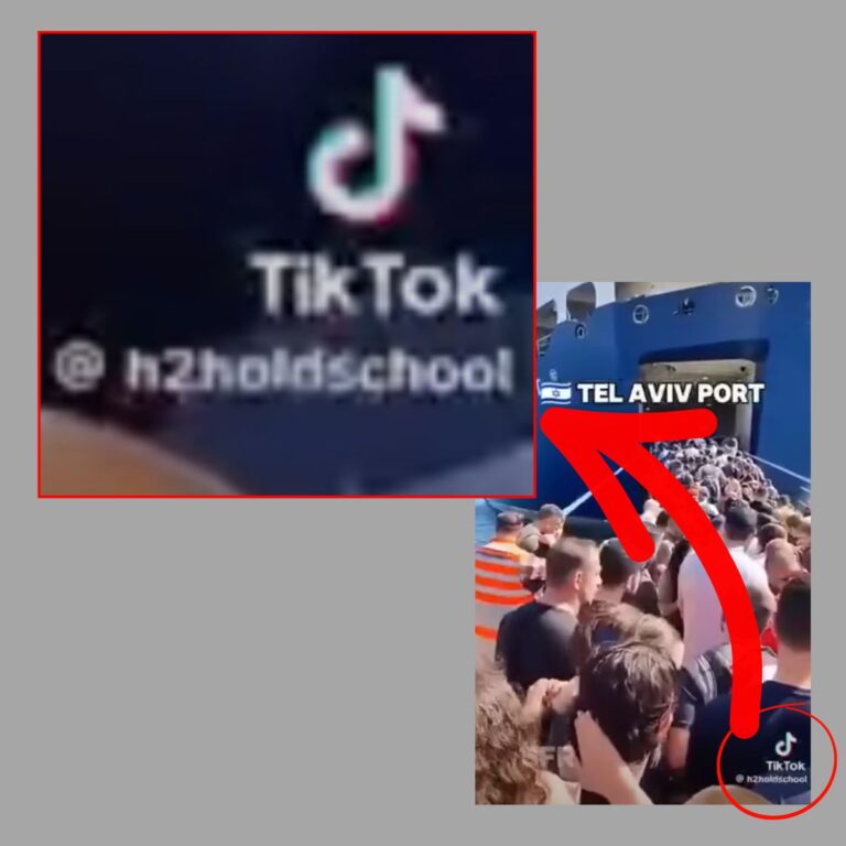 Il nome dell'autore del video, l'account TikTok @h2holdschool