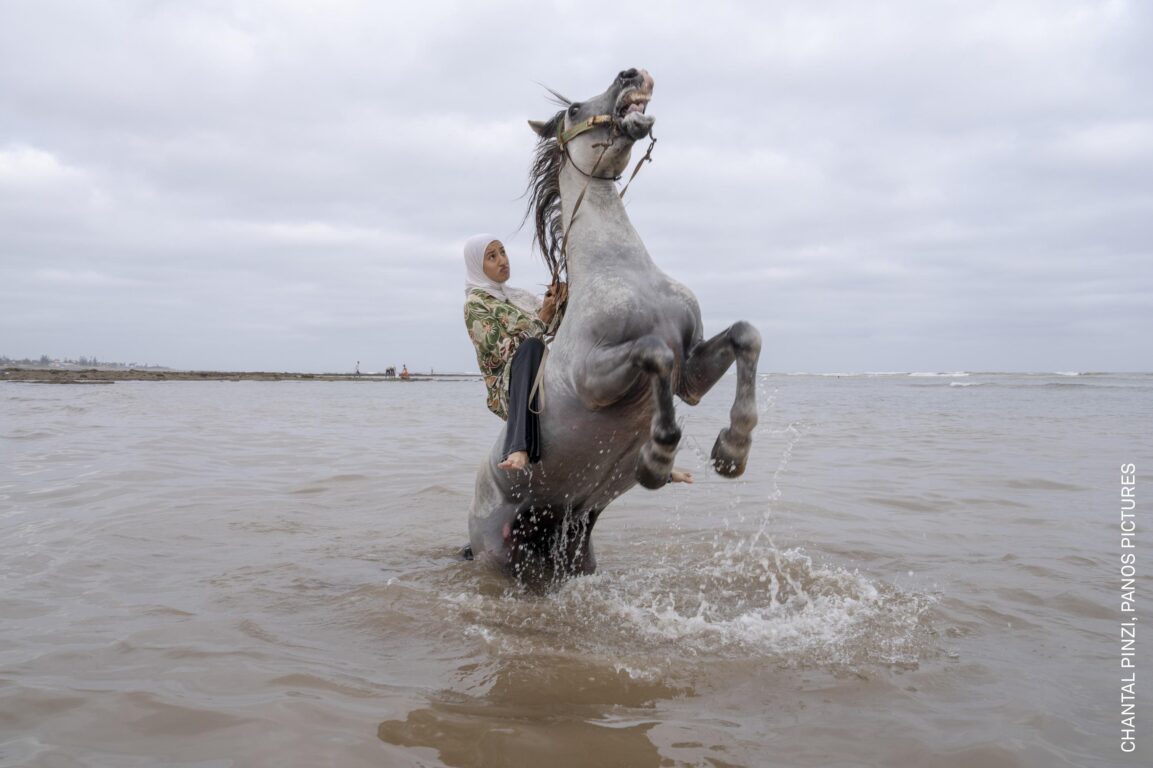 donna marocchina a cavallo farisat Tbourida 