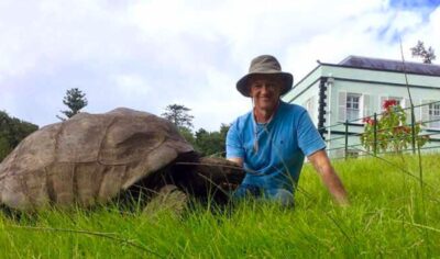 Jonathan tartaruga anziana morta truffa