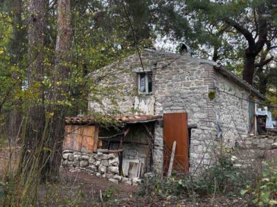 la casa della famiglia del bosco