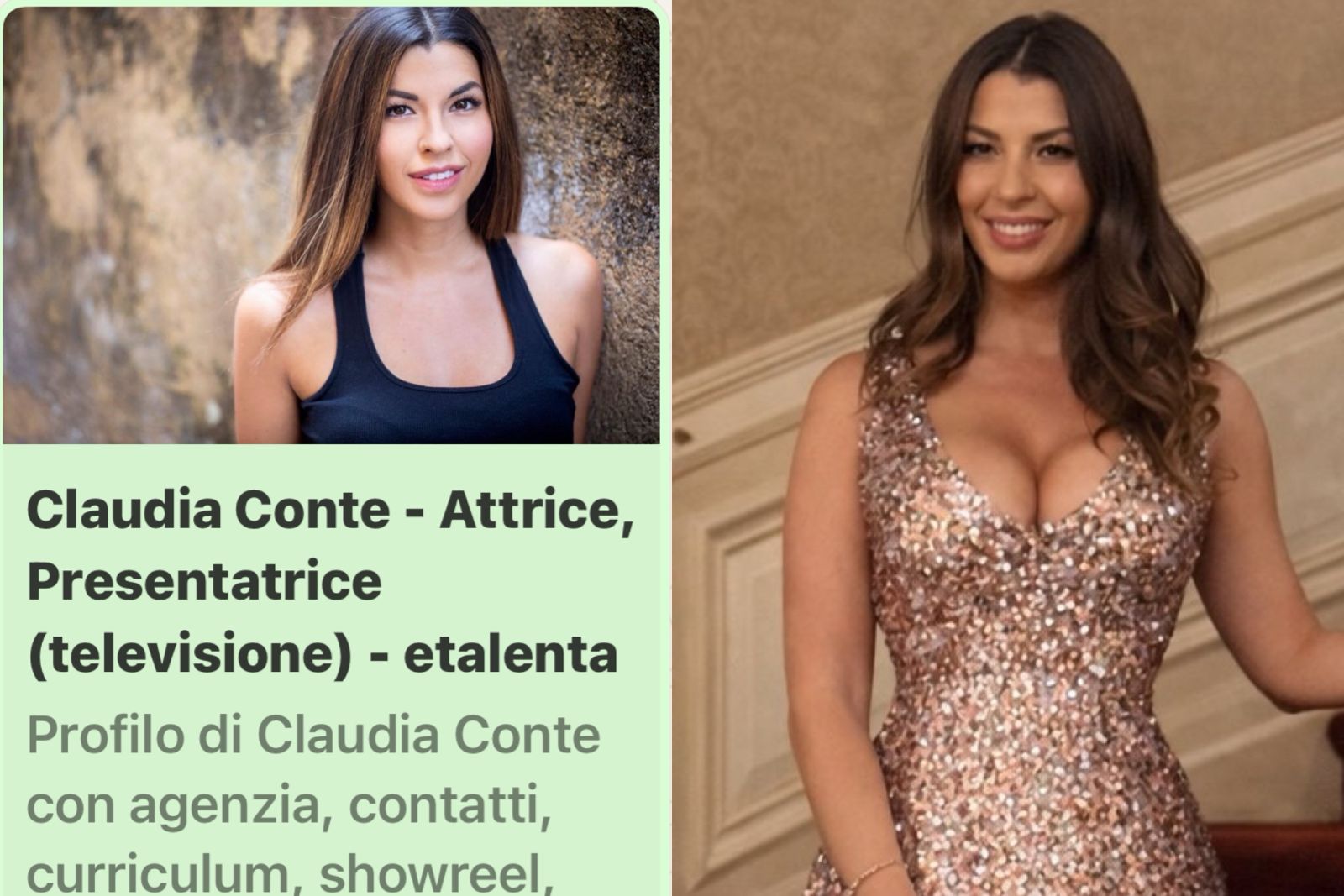 claudia conte curriculum