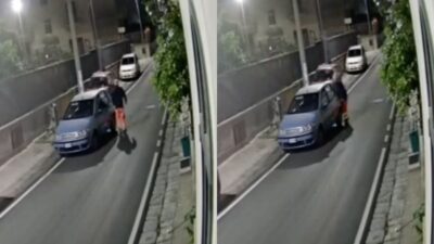 Abbandonò cagnolina per strada ad Aversa